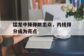 九州体育平台-猛龙中锋弹跳出众，内线得分成为亮点的简单介绍