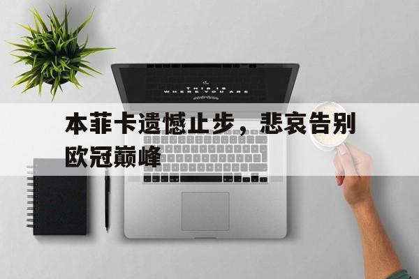 本菲卡遗憾止步，悲哀告别欧冠巅峰的简单介绍